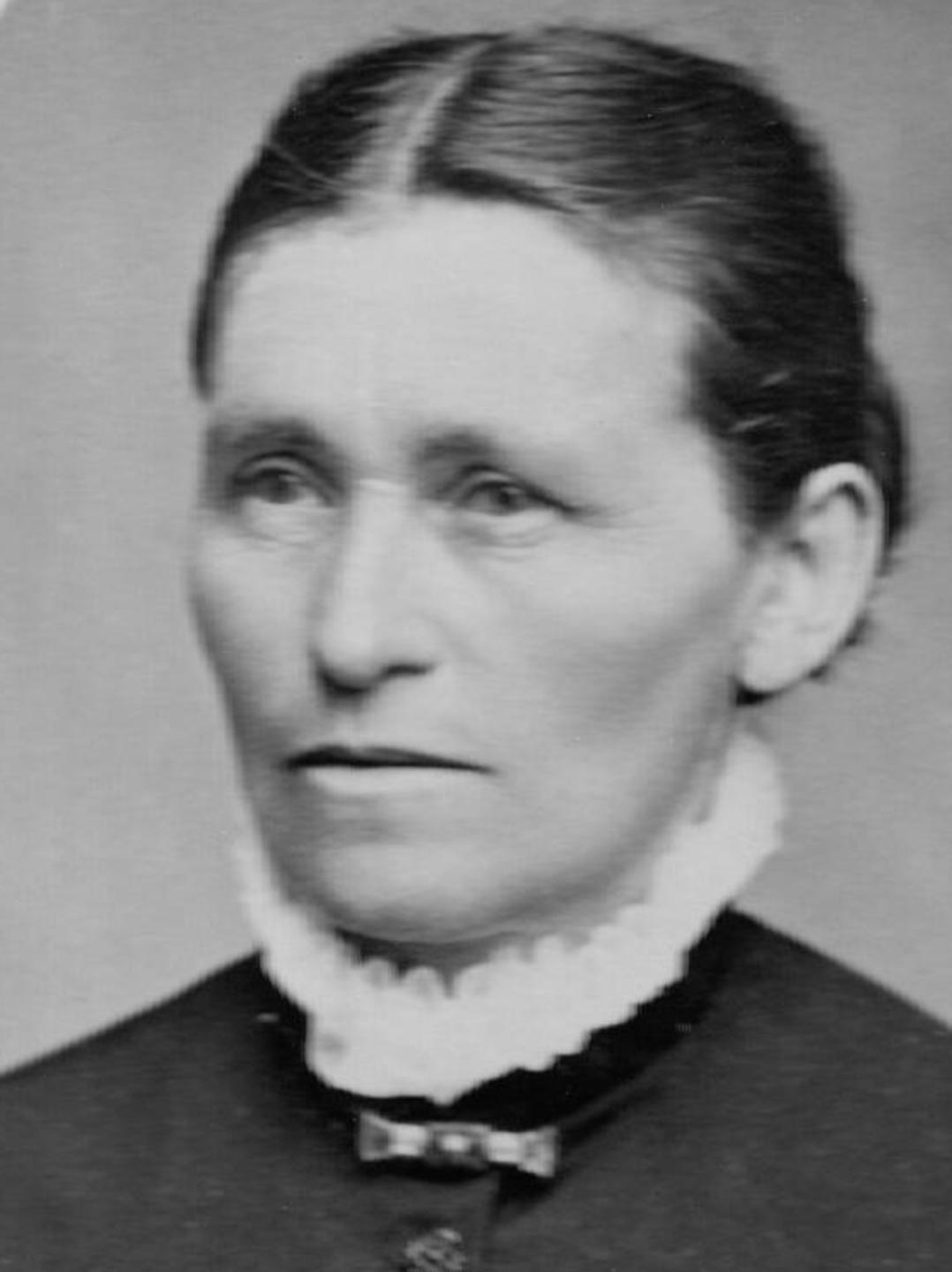 Anna Catharine Alleman (1833 - 1924) Profile